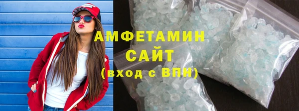 гашик Мегион