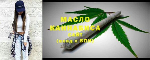 гашик Мегион