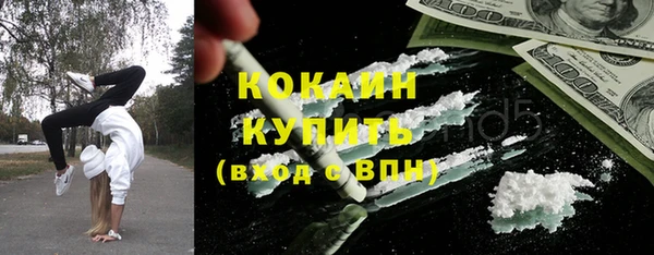 гашик Мегион