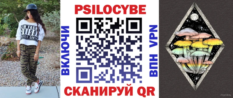 Галлюциногенные грибы Psilocybe Эртиль